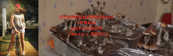 амф Волоколамск