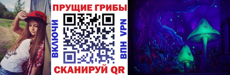 это состав  где продают наркотики  Кимры  Псилоцибиновые грибы Psilocybe 